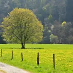 Malmedy Nature & Sauna Longfaye